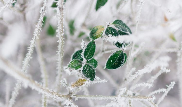 Les bons gestes pour cet hiver