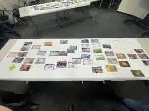 Formation des collaborateurs Caléo